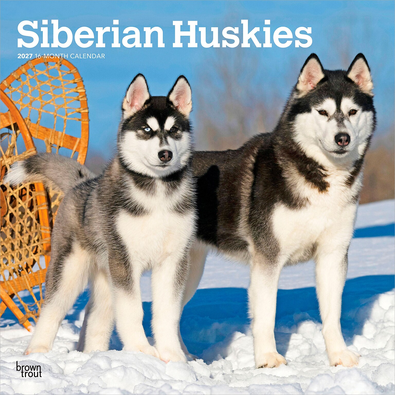 2027 BrownTrout Siberian Huskies 12 x 12 Monthly Wall Calendar (9798330712694)