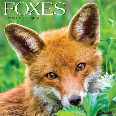 2025 Willow Creek Foxes 12 x 12 Monthly Wall Calendar (42939)