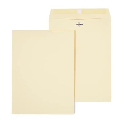 Staples Extra-Heavyweight Clasp & Moistenable Glue Catalog Envelopes, 9L x 12H, Manila, 100/Box (121962/19276)