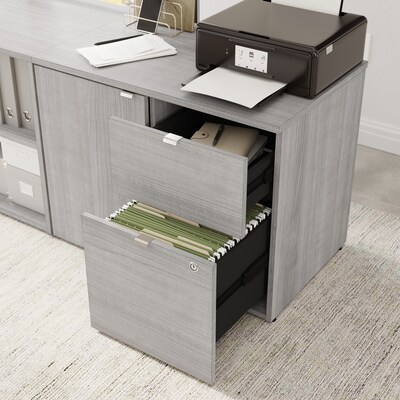 Bush Business Furniture Stratus 24"H Storage Cabinet with 2 Shelves, 2 Drawers, Platinum Gray (SUS130PG)