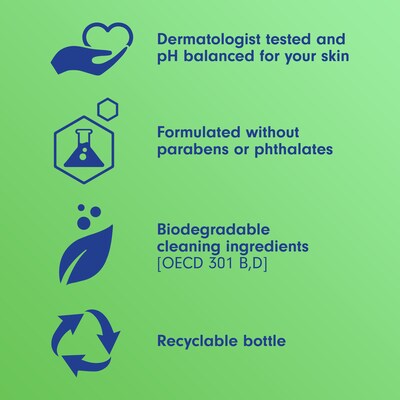 Softsoap Limited Edition Wonderful Winter Liquid Hand Soap, Pine Scent, 11.25 fl oz. (61023766)