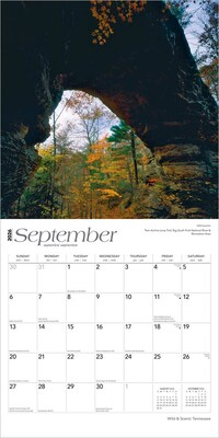 2026 BrownTrout Tennessee Wild & Scenic 12" x 12" Monthly Wall Calendar (9798330705795)