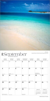 2026 BrownTrout Florida Wild & Scenic 12" x 12" Monthly Wall Calendar (9798330703272)