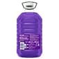 Fabuloso Multi-Purpose Cleaner, Lavender Scent, 169 fl. oz. (153122)