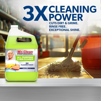 Mr. Clean Professional All Purpose Floor Cleaner, Lemon Scent, 1 Gallon (02621)
