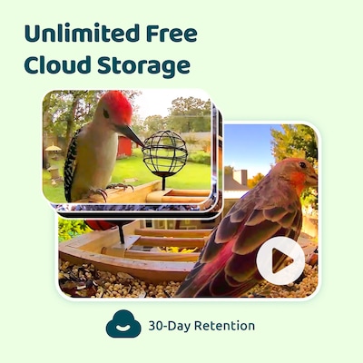 Birdfy Feeder Bamboo Mini with Camera, Solar Panel and Free AI Lifetime Subscription, Black & Brown (EPPAMBNI8412110)