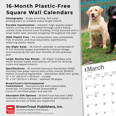 2026 BrownTrout Labrador Retrievers 12" x 12" Monthly Wall Calendar (9798330704224)