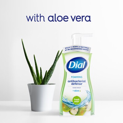 Dial Antibacterial Foaming Hand Soap, Fresh Pear Scent, 8/Carton (017000347219)
