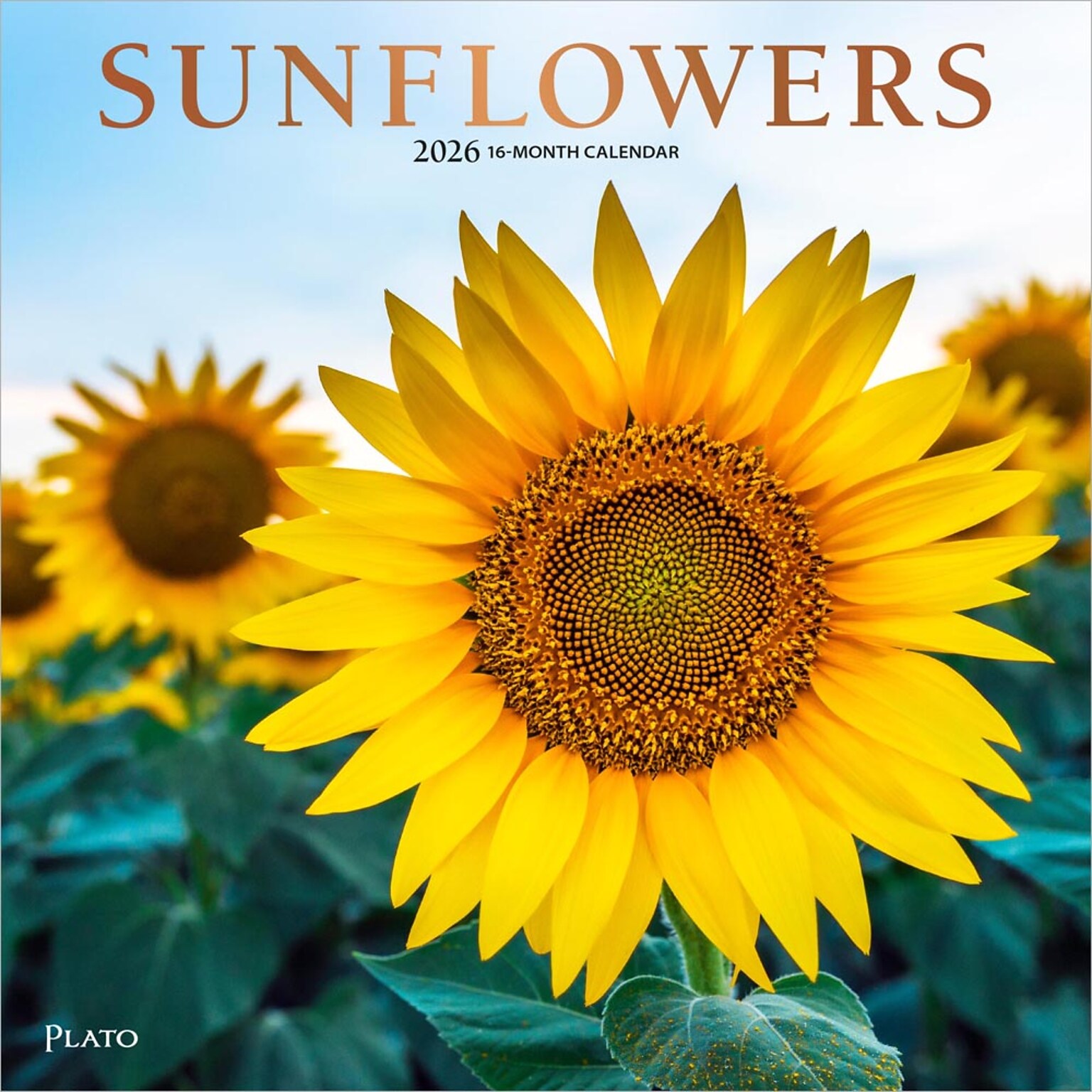 2026 Plato Sunflowers 12 x 12 Monthly Wall Calendar (9798330706655)
