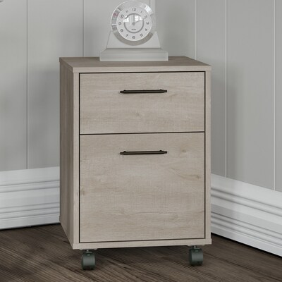 Bush Furniture 2-Drawer Mobile Vertical File Cabinet, Letter Size, 22.28H x 15.51W x 15.74D, Wash