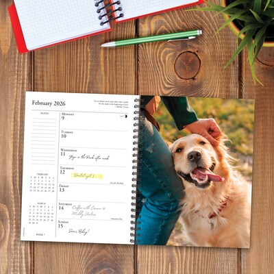 2026 Willow Creek What Goldens Teach Us 6.5" x 8.5" Daily & Monthly Personal Organizer (54680)