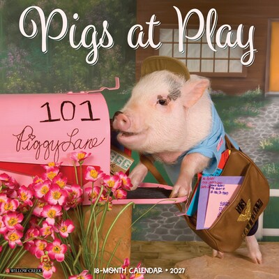 2027 Willow Creek Pigs at Play 12 x 12 Monthly Wall Calendar, Assorted Colors (61800)