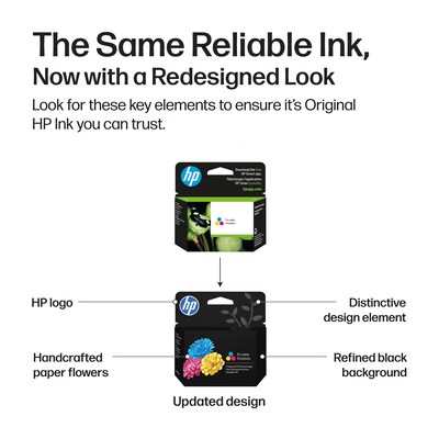 HP 923 Black/Cyan/Magenta/Yellow Standard Yield Ink Cartridges, 4/Pack (6C3Y6LN)