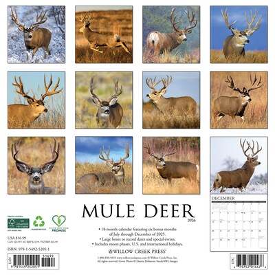 2026 Willow Creek Mule Deer 12 x 12 Monthly Wall Calendar (52051)