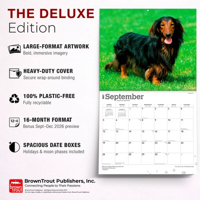 2027 BrownTrout For the Love of Dachshunds 14" x 12" Monthly Wall Calendar, Assorted Colors (9798330709243)