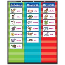 Teacher Created Resources 3 Column Pocket Chart, 34 x 44 (TCR20324)