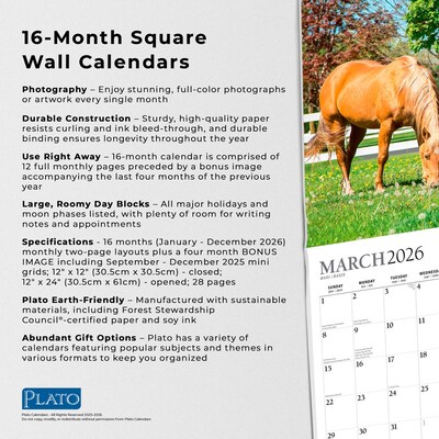 2026 Plato Magnificent Horses 12" x 12" Monthly Wall Calendar (9798330706846)