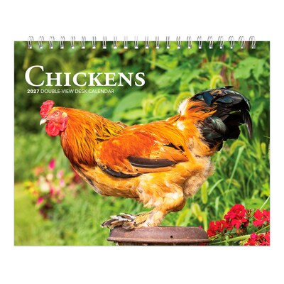 2027 BrownTrout Chickens 7.5 x 6 Monthly Wall Calendar, Assorted Colors (9798330709380)