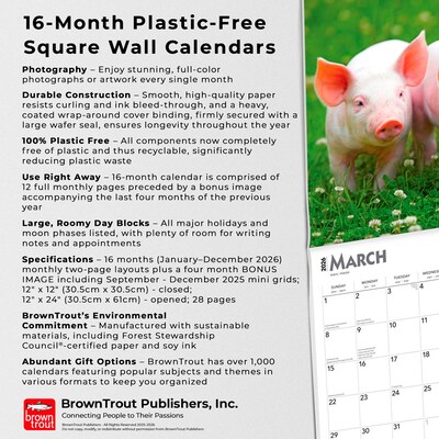 2026 BrownTrout Piglets 12" x 12" Monthly Wall Calendar (9798330705139)