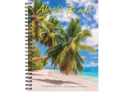 2025 Willow Creek Ah, the Beach! 6.5 x 8.5 Weekly Planner, Paper Cover, Multicolor (46050)
