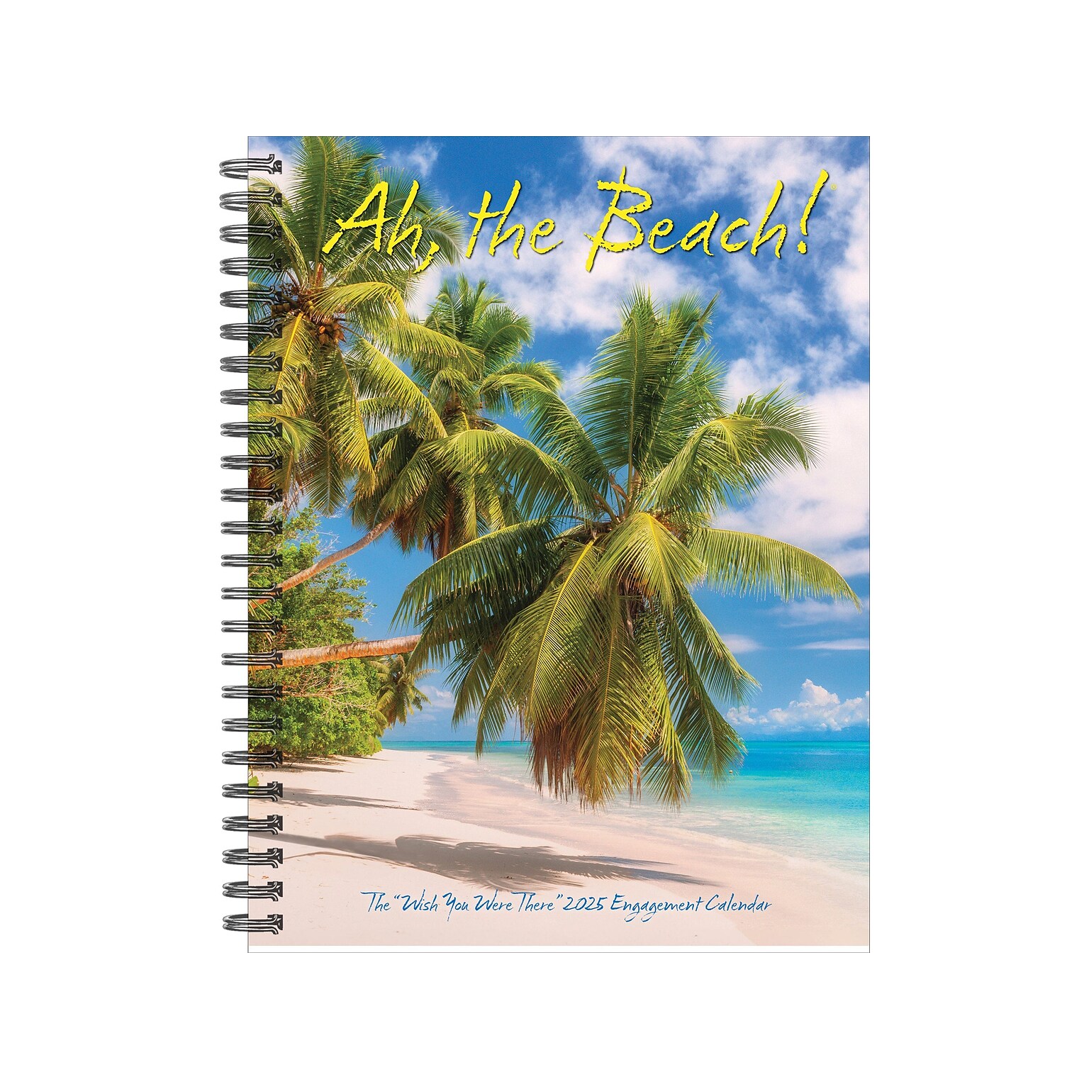 2025 Willow Creek Ah, the Beach! 6.5 x 8.5 Weekly Planner, Paper Cover, Multicolor (46050)