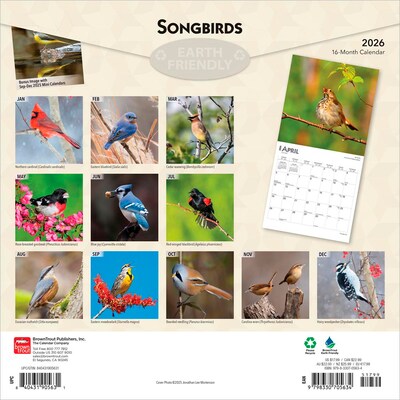 2026 BrownTrout Songbirds 12 x 12 Monthly Wall Calendar (9798330705634)