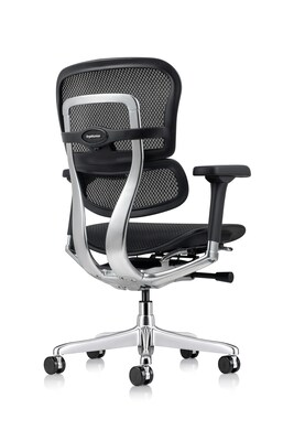 Eurotech Ergohuman Gen2 Mid-Back Mesh Office Chair, Black (ME8ERGLO-GEN2-B)