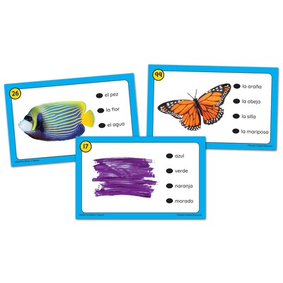 Teacher Created Resources Power Pen Learning Cards: First Words in Spanish (TCR6726)