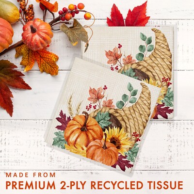 Say Hooray! Fall Feast Paper Plates and Napkins Kit, Multicolored, 48/Pack (DTC9389E2G)