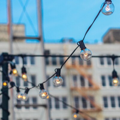 Newhouse Lighting Globe Party LED String Lights with Wireless Remote Dimmer, 50 ft., Black (PSTRINGL