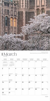 2025 BrownTrout Seattle 12" x 12" Monthly  Wall Calendar (9781975475680)