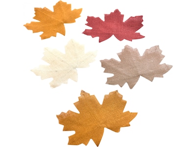 Amscan Fall Kit, Multicolor, 2/Pack (360435)