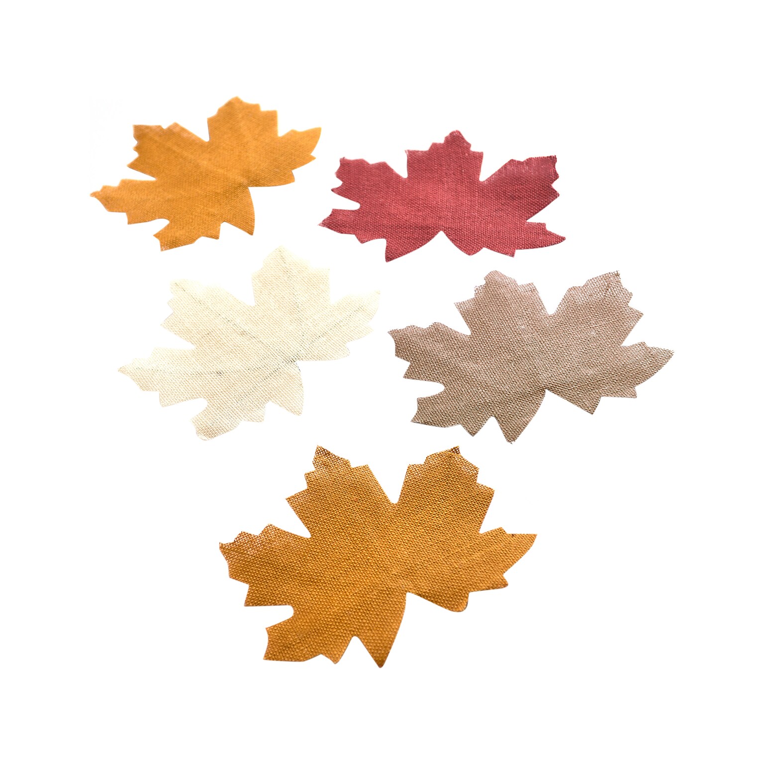 Amscan Fall Kit, Multicolor, 2/Pack (360435)