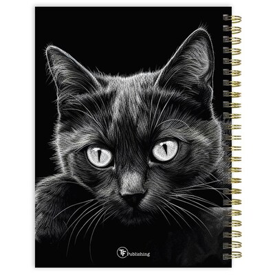 2027 TF Publishing Denim Dots 6.5" x 8"  Weekly & Monthly Standard Planner, Paperboard Cover, Multicolored (27-9212)