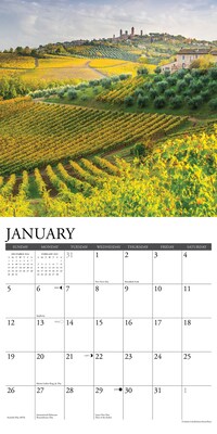 2025 Willow Creek Vineyards 12" x 12" Monthly Wall Calendar (45251)