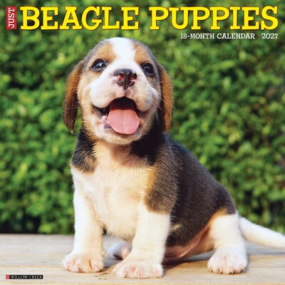 2027 Willow Creek Beagle Puppies 12 x 12 Monthly Wall Calendar, Assorted Colors (59081)