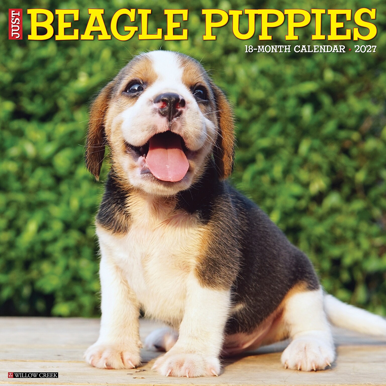 2027 Willow Creek Beagle Puppies 12 x 12 Monthly Wall Calendar, Assorted Colors (59081)