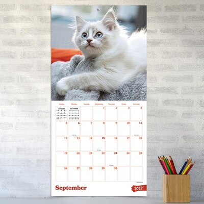 2027 TF Publishing Kittens 12" x 12" Monthly Wall Calendar (27-1013)