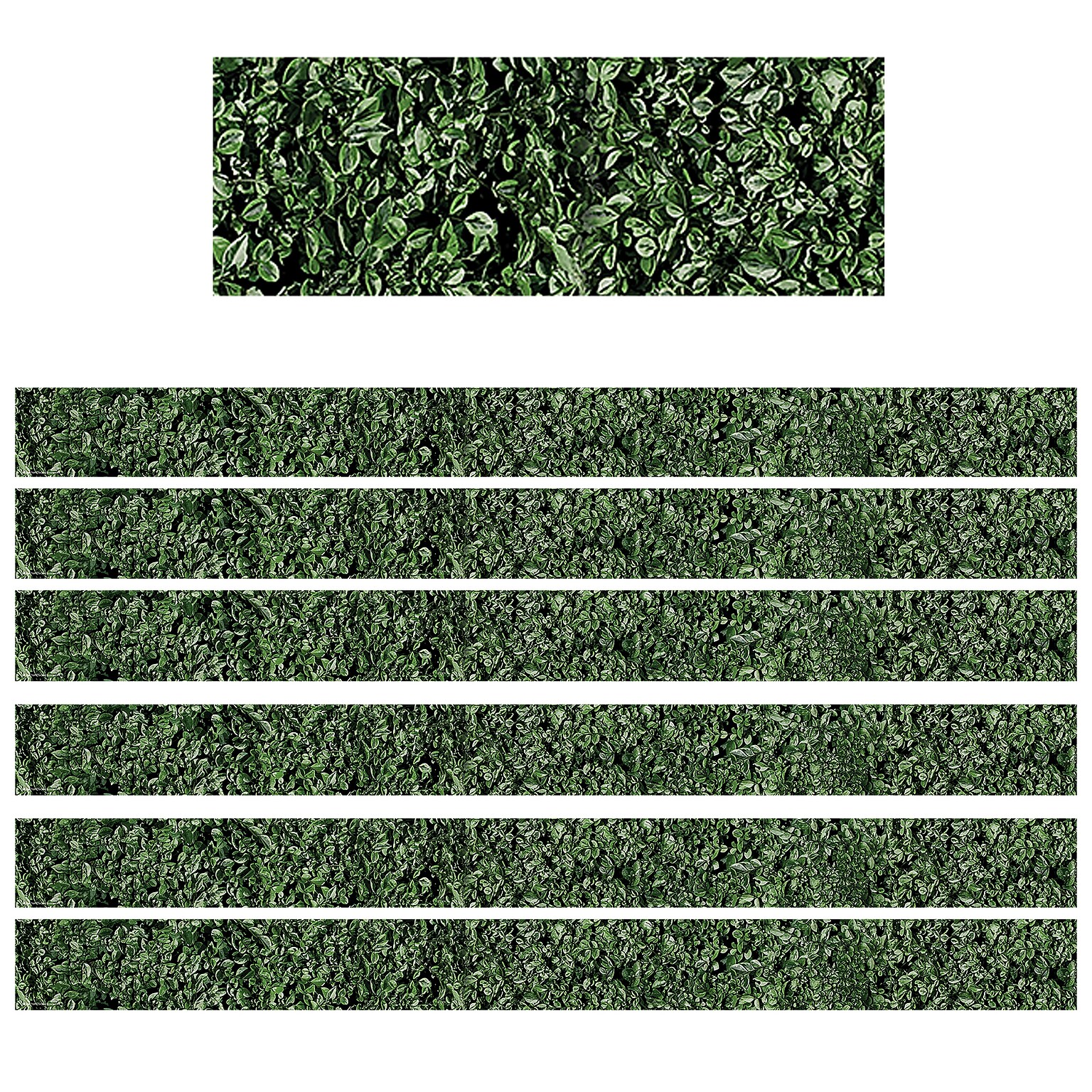Teacher Created Resources Modern Farmhouse Boxwood Straight Border Trim, 35 ft., 6 Packs/Bundle (TCR8513-6)