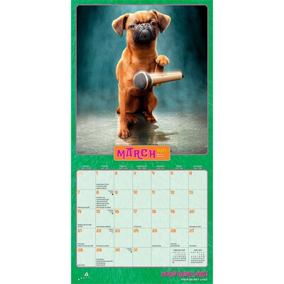 2027 BrownTrout Avanti Dogs Gone Wild 7" x 7" Monthly Wall Calendar, Assorted Colors (9798330712953)
