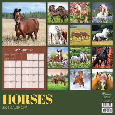 2026 TF Publishing Horses 12" x 12" Monthly Wall Calendar (26-1012)