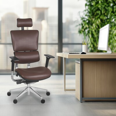 Regency Omega Ergonomic Leather Executive Office Chair w/ Headrest, Chocolate (OMG004CH)