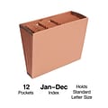 Staples Heavy Duty Reinforced Accordion File, Monthly Index, 12-Pocket, Letter Size, Brown (595369)