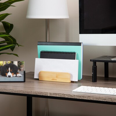 Mind Reader Note Holder, Brown (BSORT3-BRN)