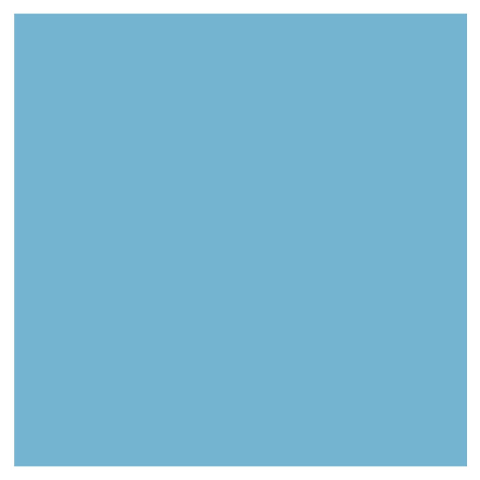 Color-Brite 18 x 24 Construction Paper, Sky Blue, 50 Sheets/Pack (CPS18LB-SW)