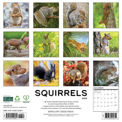 2026 Willow Creek Squirrels 12 x 12 Monthly Wall Calendar (52891)