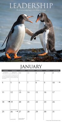 2026 Willow Creek Demotivationals 12" x 12" Monthly Wall Calendar (50965)
