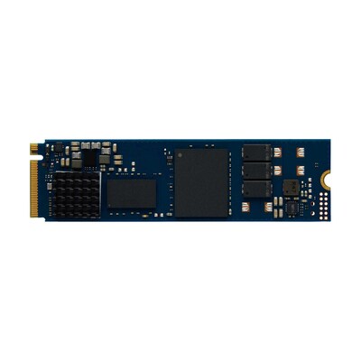 Kingston DC2000B 480GB PCIe 4.0 NVMe Internal Hard Drive (SEDC2000BM8/480G)
