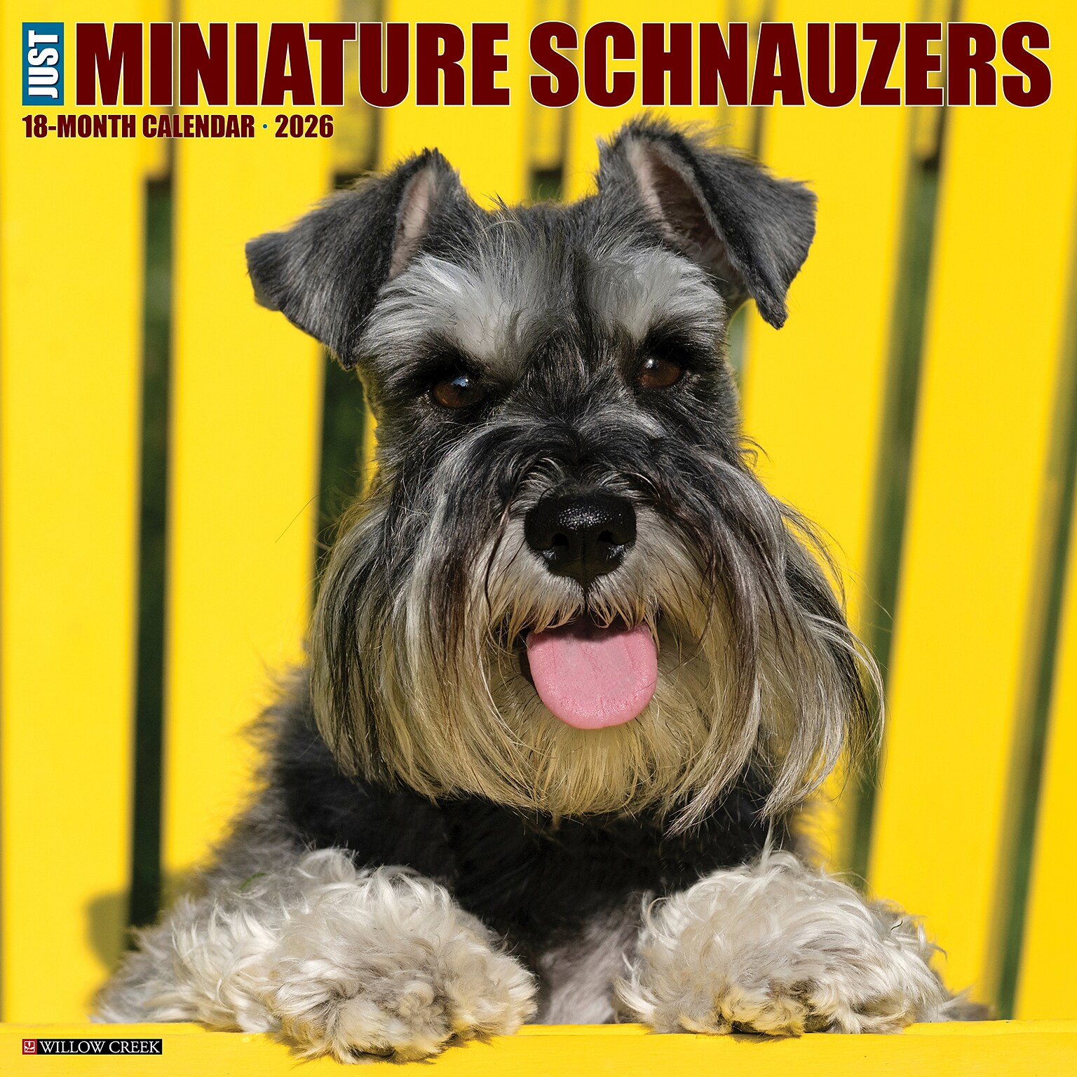 2026 Willow Creek Miniature Schnauzers 12 x 12 Monthly Wall Calendar (55502)