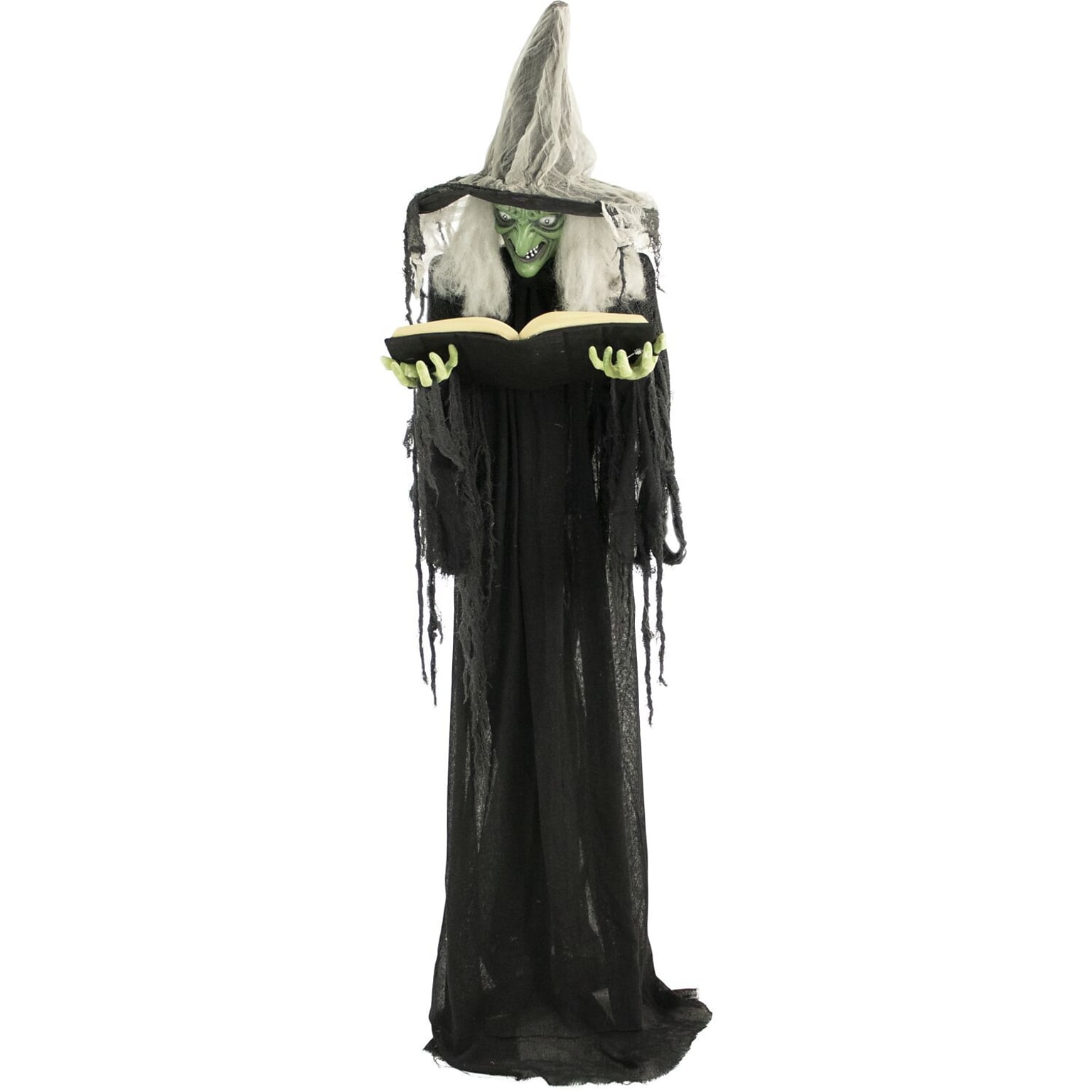Haunted Hill Farm Life-Size Poseable Witch with Spell Book (HHWITCH-9FLS)